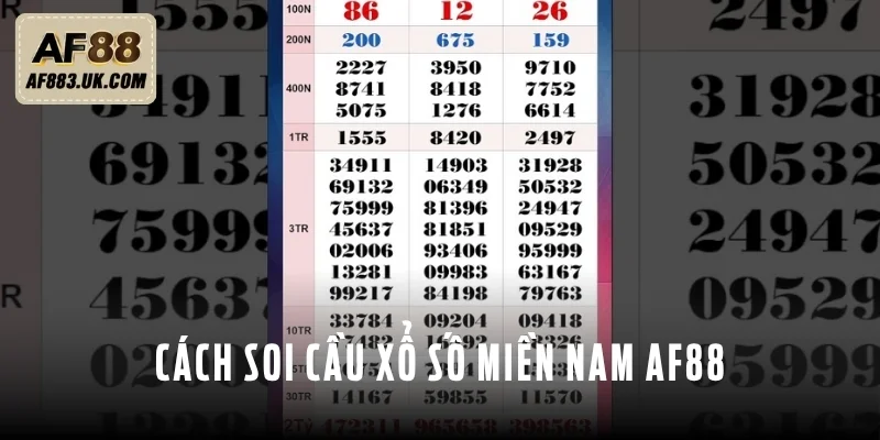 3 cách soi cầu bao trúng khi chơi XSMN 3 cách soi cầu bao trúng khi chơi XSMN