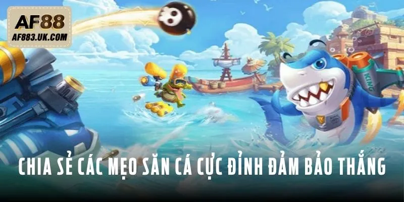 Chia sẻ các mẹo săn cá cực đỉnh đảm bảo chắc thắng Chia sẻ các mẹo săn cá cực đỉnh đảm bảo chắc thắng