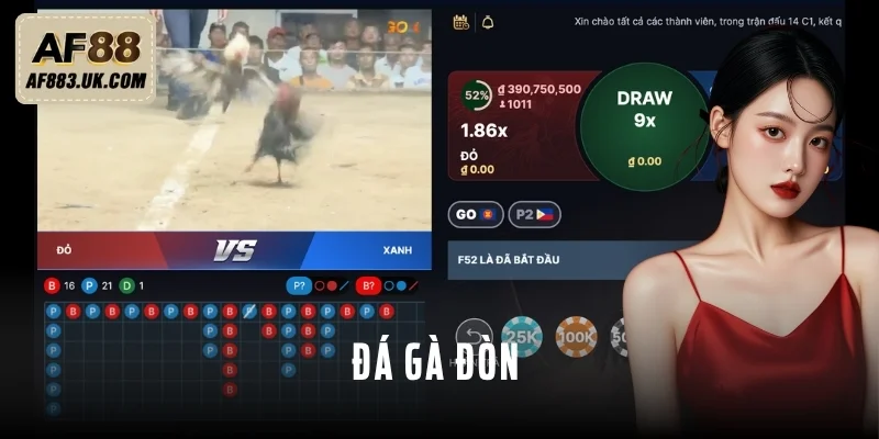 Đá Gà Đòn - Loại Hình Chọi Kê Kịch Tính Từng Phút, Từng Giây Đá Gà Đòn - Loại Hình Chọi Kê Kịch Tính Từng Phút, Từng Giây