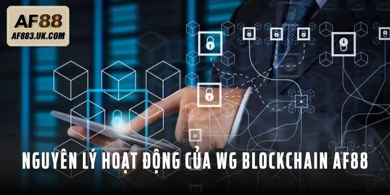 Nguyên lý hoạt động của WG Blockchain AF88 Nguyên lý hoạt động của WG Blockchain AF88