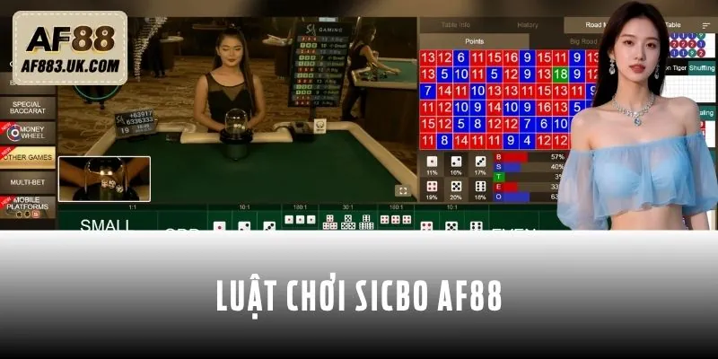 Đầy đủ luật chơi Sicbo AF88 Đầy đủ luật chơi Sicbo AF88