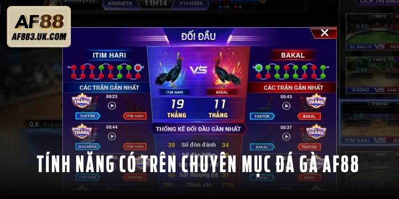 Tính năng đang được tích hợp trên chuyên mục đá gà Tính năng đang được tích hợp trên chuyên mục đá gà