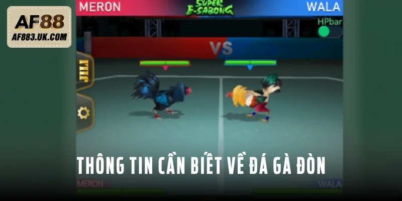 Tổng hợp thông tin cần biết về đá gà đòn Tổng hợp thông tin cần biết về đá gà đòn