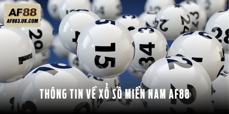 Xổ Số Miền Nam AF88 - Tra Cứu Nhanh, Nhận Thưởng Lớn Tổng hợp thông tin liên quan đến xổ số miền Nam AF88